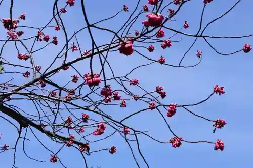 伊豆山神社(静岡県)