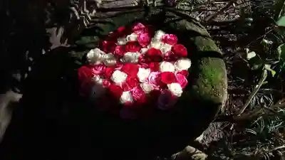 菅生神社の手水舎