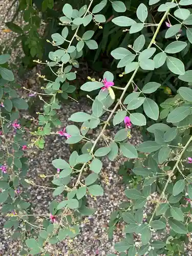 梨木神社の自然