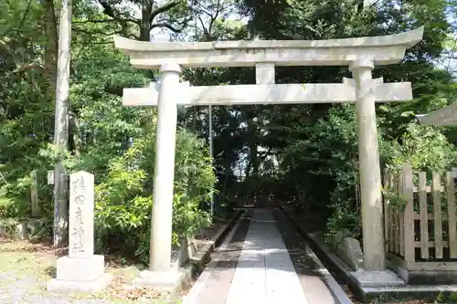 氣比神宮の鳥居