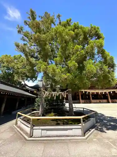寒川神社(神奈川県)