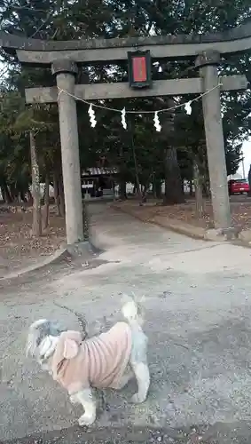 若宮神社(山梨県)