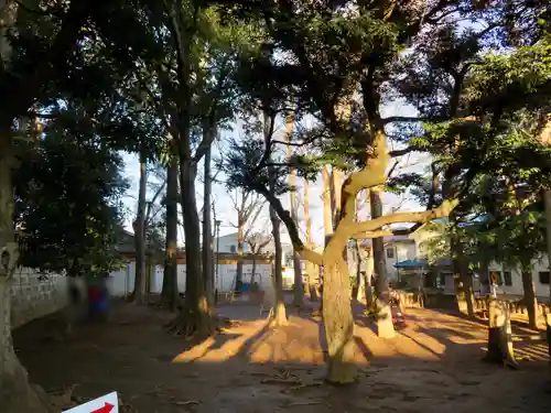 太子堂八幡神社のその他建物