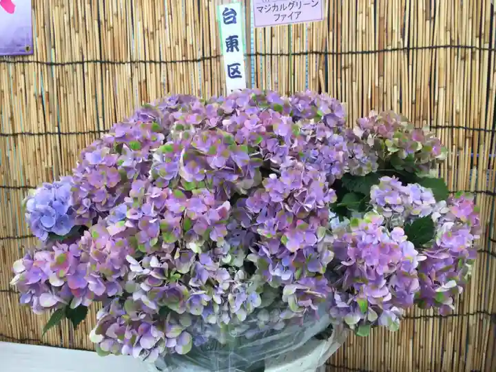 長國寺のお祭り