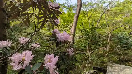 圓光寺(京都府)