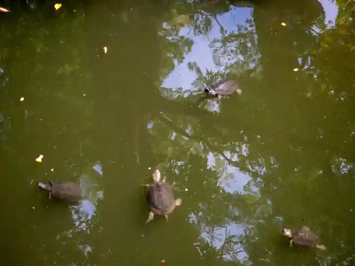 成田山新勝寺(千葉県)