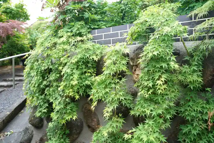 少林寺(埼玉県)