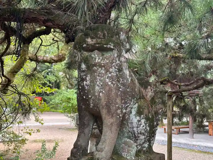 御霊神社(上御霊神社)(京都府)