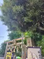 蛇窪神社(東京都)