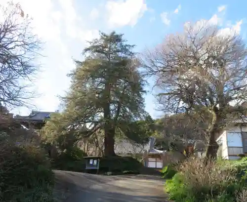 龍春寺(福島県)