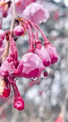 浄居寺(山梨県)