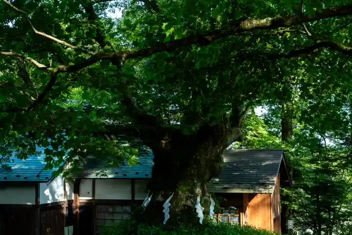 熊野皇大神社(長野県)