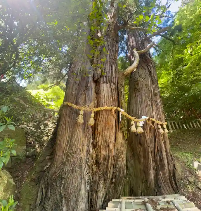 導観稲荷神社(京都府)