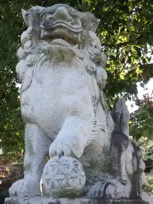 白山神社(二子町)の狛犬