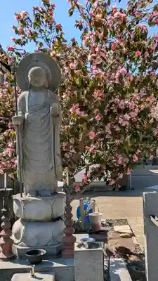 大松禅寺(京都府)