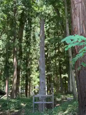 諏訪大社下社秋宮(長野県)