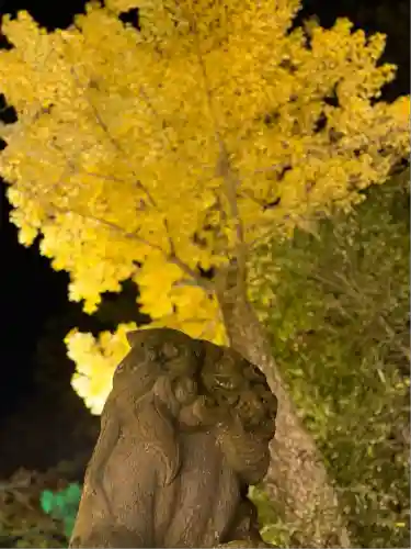 宝登山神社(埼玉県)