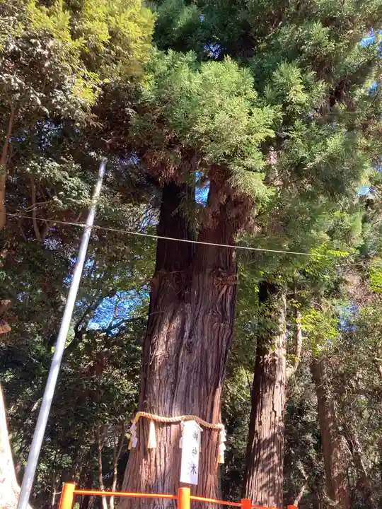 息栖神社の自然