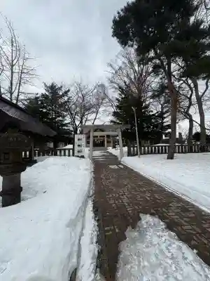 江南神社の{uncategorized: "未分類", other: "その他", undefined: "問題あり", building: "その他建物", grave: "お墓", sacred_gate: "鳥居", guardian: "狛犬", statue: "像", buddha: "仏像", history: "歴史", nature: "自然", garden: "庭園", animal: "動物", pagoda: "塔", temizu: "手水舎", mountain_gate: "山門・神門", sanctuary: "本殿・本堂", subordinate: "末社・摂社", art: "芸術", scenery: "景色", jizo: "地蔵", ema: "絵馬", goshuin: "御朱印", omikuji: "おみくじ", items: "授与品その他", amulet: "お守り", goshuincho: "御朱印帳", eats: "食事", festival: "お祭り", votive_dance: "神楽", shichigosan: "七五三参", wedding: "結婚式", experience: "体験その他", initially: "初詣", around: "周辺", anti_infection: "感染症対策"}
