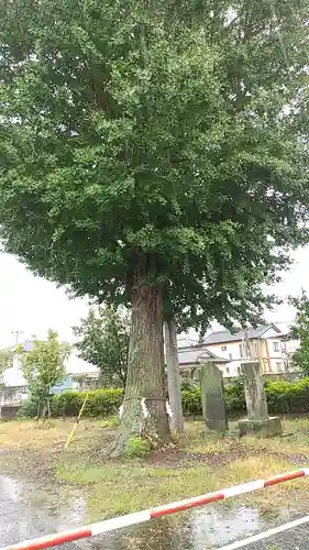 富士嶽神社(群馬県)