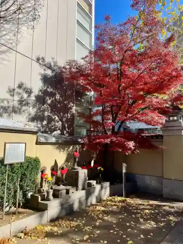 長泉寺(東京都)