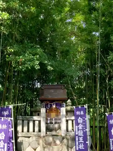 白金龍王社(愛知県)