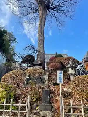廣源院東福寺(東京都)