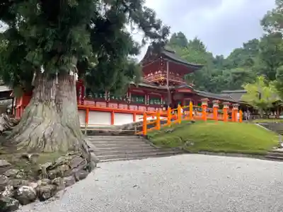 春日大社(奈良県)