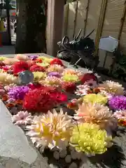 蛇窪神社の手水