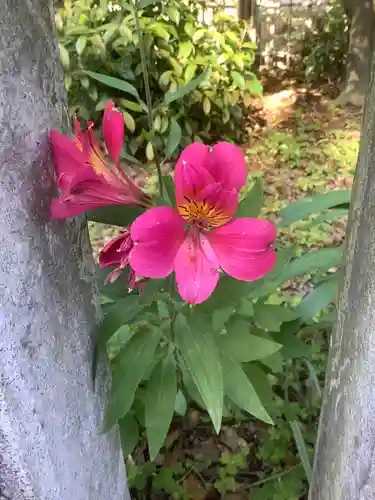 手力雄神社の自然