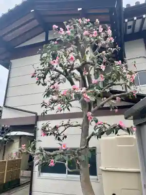 清源寺の{uncategorized: "未分類", other: "その他", undefined: "問題あり", building: "その他建物", grave: "お墓", sacred_gate: "鳥居", guardian: "狛犬", statue: "像", buddha: "仏像", history: "歴史", nature: "自然", garden: "庭園", animal: "動物", pagoda: "塔", temizu: "手水舎", mountain_gate: "山門・神門", sanctuary: "本殿・本堂", subordinate: "末社・摂社", art: "芸術", scenery: "景色", jizo: "地蔵", ema: "絵馬", goshuin: "御朱印", omikuji: "おみくじ", items: "授与品その他", amulet: "お守り", goshuincho: "御朱印帳", eats: "食事", festival: "お祭り", votive_dance: "神楽", shichigosan: "七五三参", wedding: "結婚式", experience: "体験その他", initially: "初詣", around: "周辺", anti_infection: "感染症対策"}