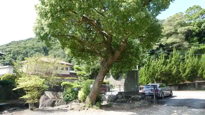 竹林院(徳島県)