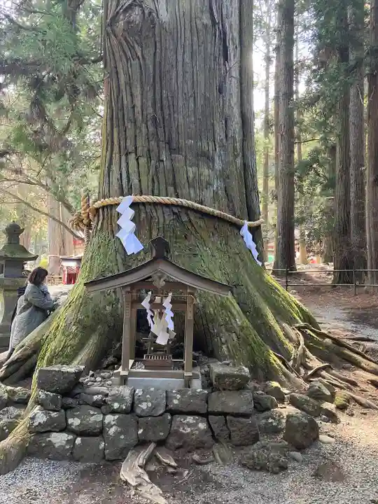 北口本宮冨士浅間神社(山梨県)