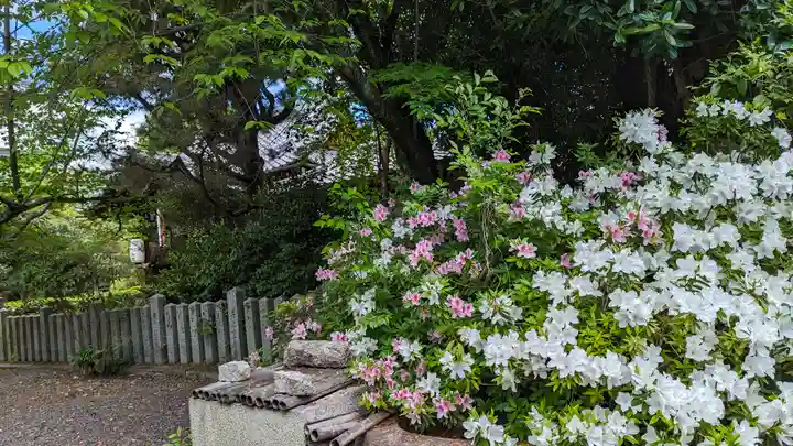 本法寺(京都府)