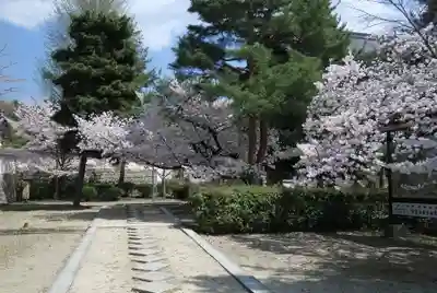 萬福寺(京都府)