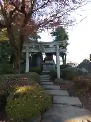 白山神社(埼玉県)