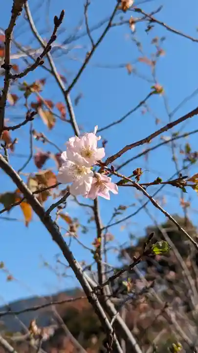 勧修寺(京都府)