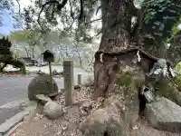 玉祖神社(大阪府)