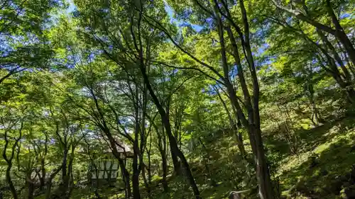 常寂光寺の自然