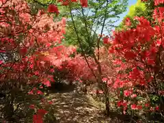 島野浦神社の自然