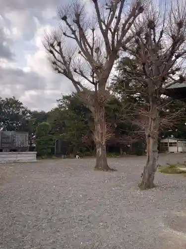 新長谷寺（八町観音）のその他建物