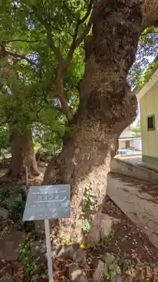 八幡社（下門八幡社）の自然
