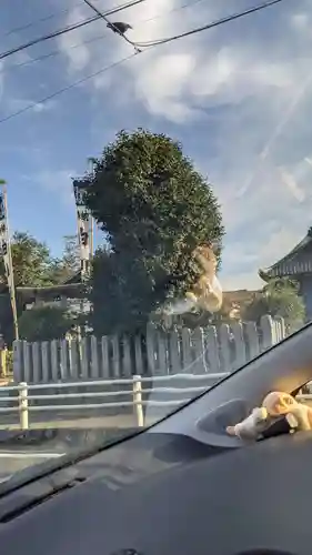 白山社（仲畑）のその他建物