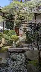 妙蓮寺(京都府)