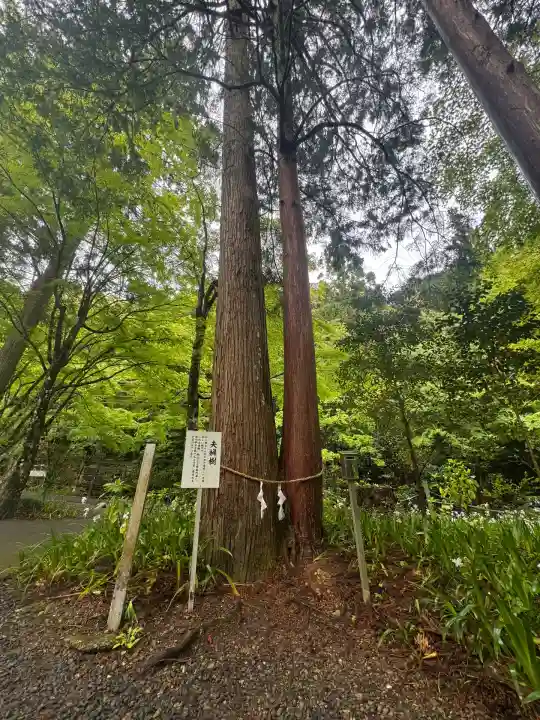 大矢田神社(岐阜県)