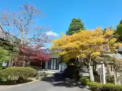 圓融寺の建物その他