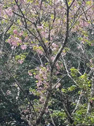 猿田神社(千葉県)