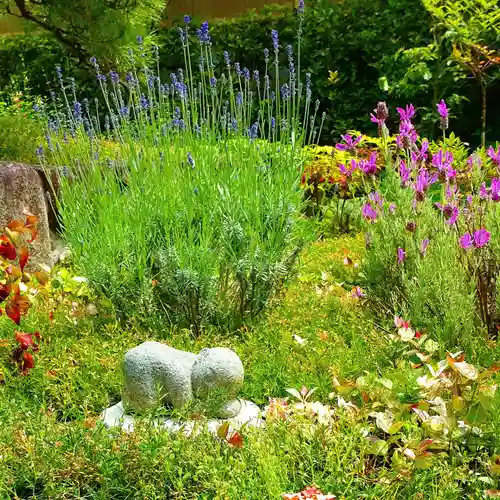 寿量山　速成寺(奈良県)