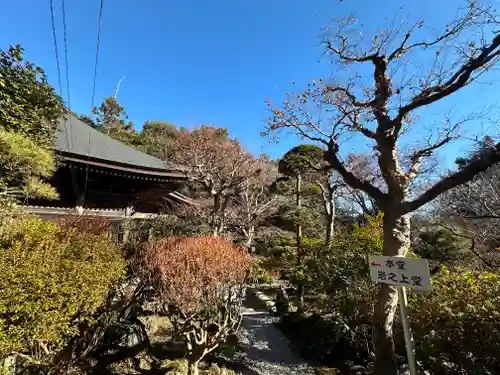 岩之上堂(埼玉県)