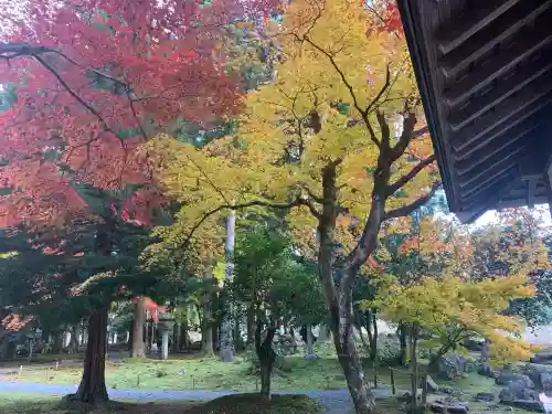 興聖寺(滋賀県)